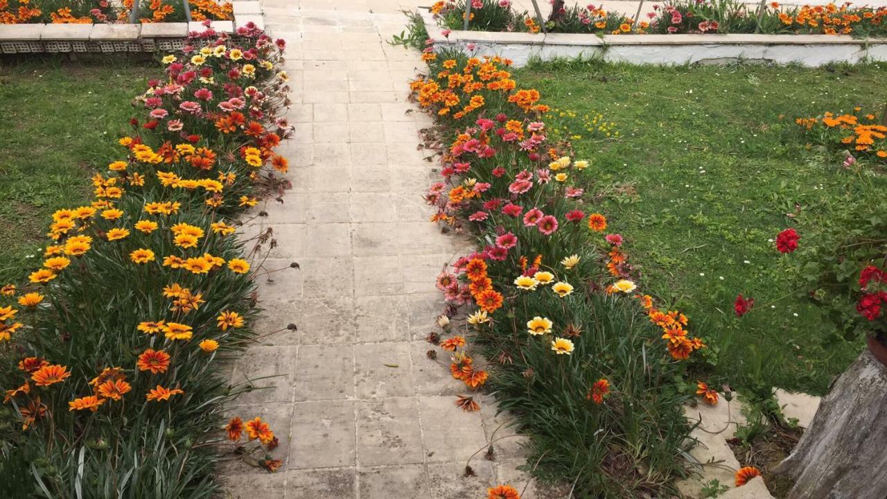 Perivólion Venus Sea View Apartment מראה חיצוני תמונה